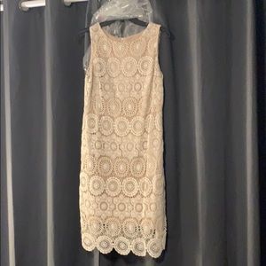 Eliza J cream dress size 6